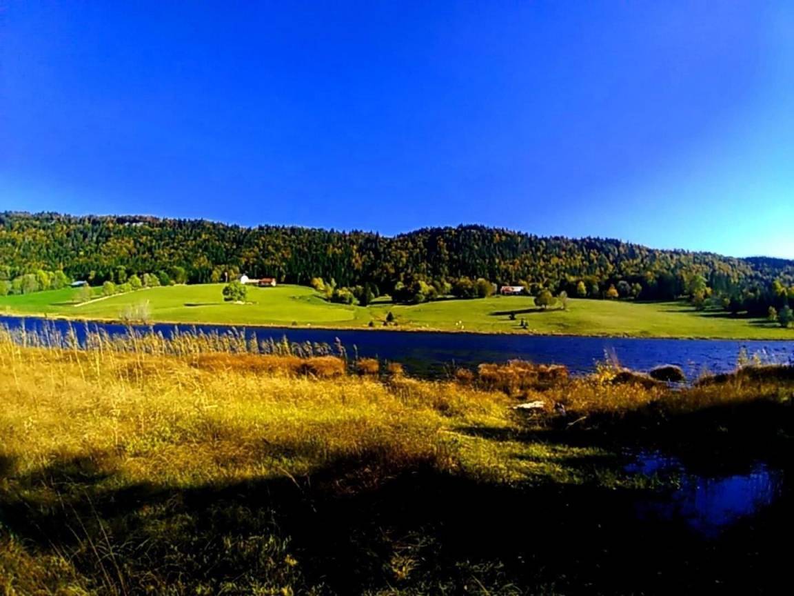 e4812b70eeed427f71861b31ff